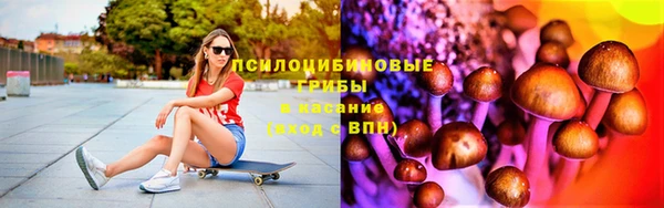PSILOCYBIN Куйбышев