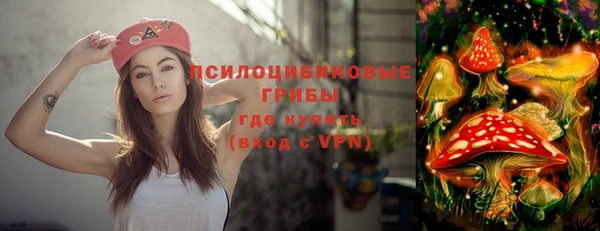 PSILOCYBIN Куйбышев