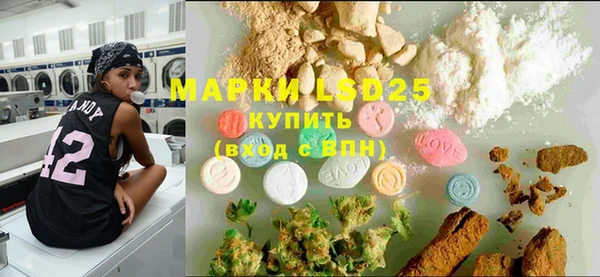 PSILOCYBIN Кукмор