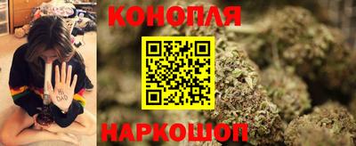прущие крисы Камышлов