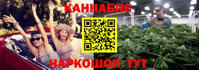 прущие крисы Камышлов