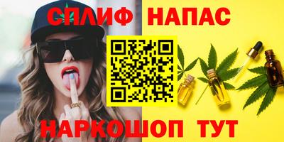 прущие крисы Камышлов