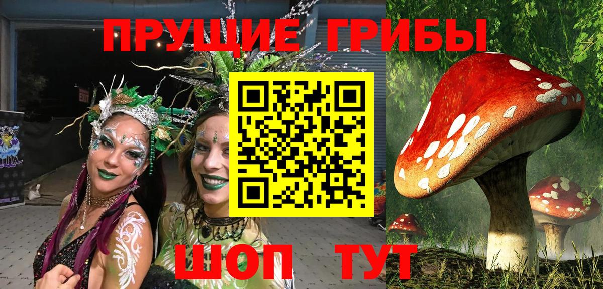 Псилоцибиновые грибы Magic Shrooms  Галлюциногенные грибы GOLDEN TEACHER  Учалы  сколько стоит  Вход с VPN 
