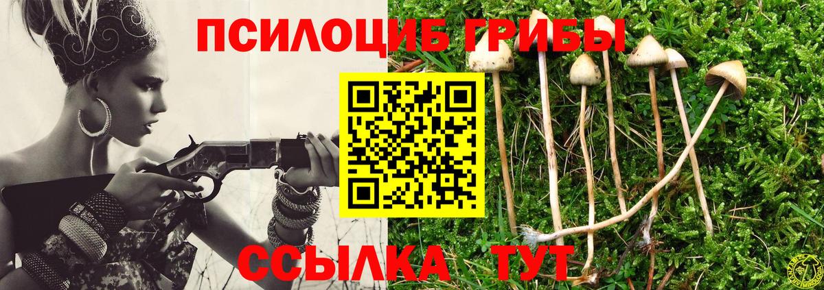 Галлюциногенные грибы мицелий Учалы