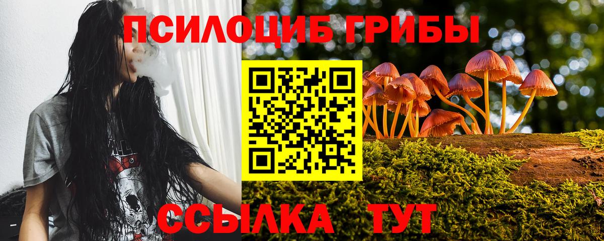 Псилоцибиновые грибы Cubensis  Учалы 